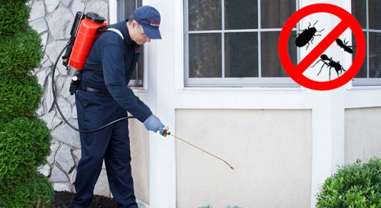 Derbent Gümüşkurt İlaçlama böcek ilaçlama ve haşere kontrolü — ilaclama-tr.com